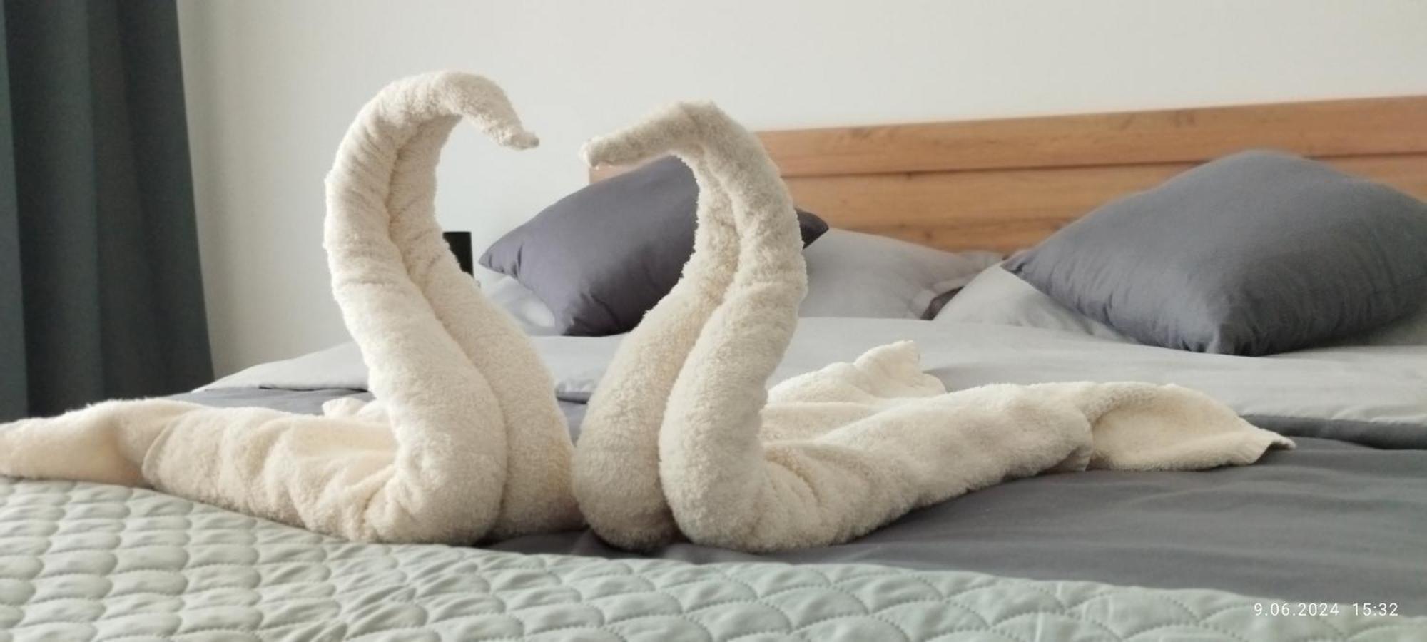 사르비노보 Bialy Dom 빌라 외부 사진